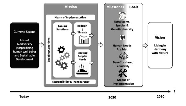 Theory of change